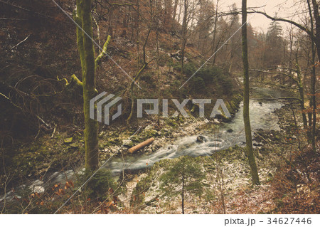 Water flows in the autumn forest of Bled, Slovenia 34627446