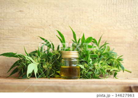 cannabis oil and hemp 34627963