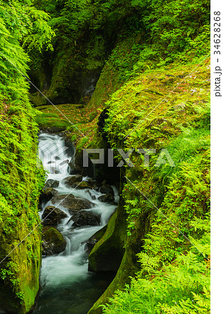 宮崎 高千穂峡 宮崎 高千穂峡 34628268