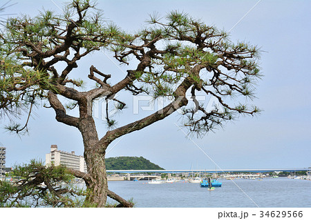 横浜・枇杷島弁財天(金沢八景) 横浜・枇杷島弁財天(金沢八景) 34629566