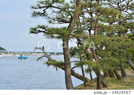 横浜・枇杷島弁財天（金沢八景） 34629567