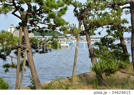 横浜・枇杷島弁財天（金沢八景） 34629615