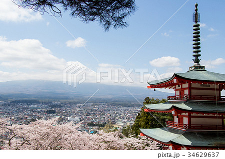 Chureito pagoda and cherry blossom and mount fuji 34629637