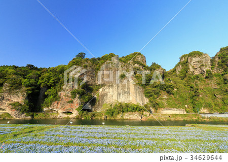 耶馬渓 春、新緑の競秀峰とネモフィラ 耶馬渓 春、新緑の競秀峰とネモフィラ 34629644