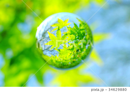 爽やかな新緑を閉じ込めて 34629880