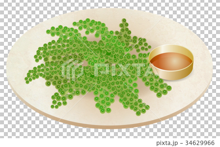 Sea Grapes Stock Illustration