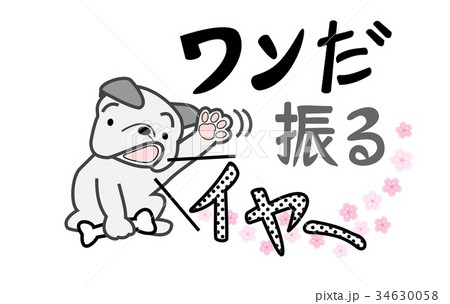 いぬ年です いぬ年です 34630058