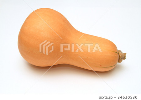 バターナッツ・スクワッシュ 34630530