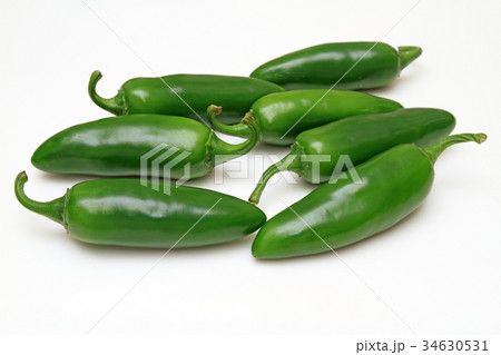 こどもピーマン 34630531