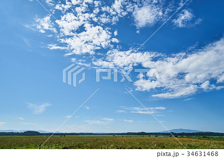小清水原生花園と斜里岳 34631468