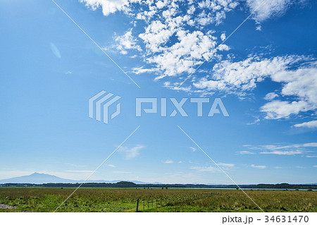 小清水原生花園と斜里岳 34631470