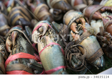 fresh serrated mud crabs in the market fresh serrated mud crabs in the market 34635114