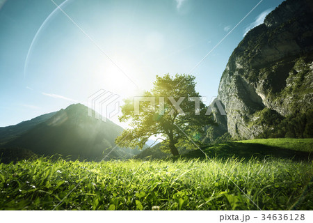 Idyllic landscape in the Alps, Switzerland 34636128