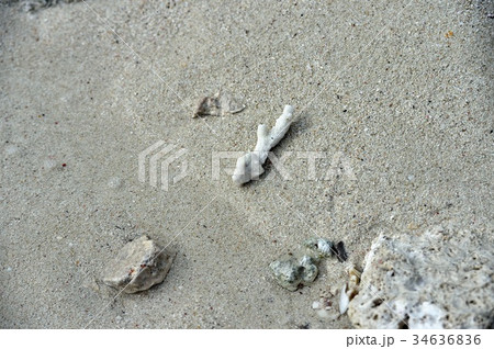 白い砂のビーチ 34636836
