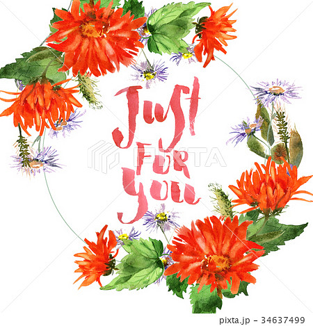 Romantic watercolor nasturtium flowers wreath Romantic watercolor nasturtium flowers wreath 34637499