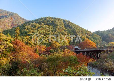 みずがき湖(10月 紅葉 北杜市) みずがき湖(10月 紅葉 北杜市) 34637750