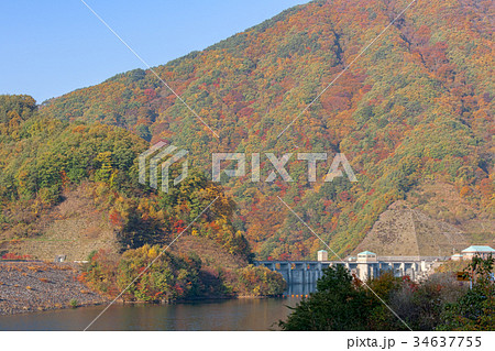 みずがき湖 10月 紅葉 北杜市 の写真素材