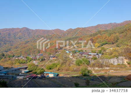 みずがき湖(10月　紅葉　北杜市) 34637758