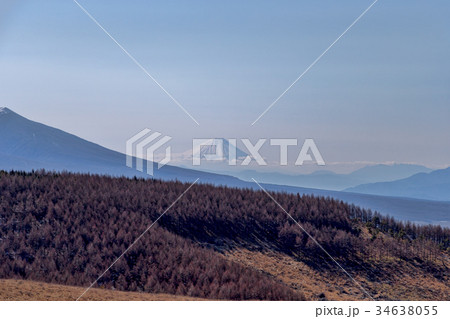 富士山 (4月 車山高原 ) 富士山 (4月 車山高原 ) 34638055