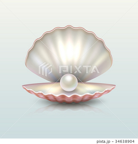 Realistic Vector Beautiful Natural Open Sea Pearlのイラスト素材