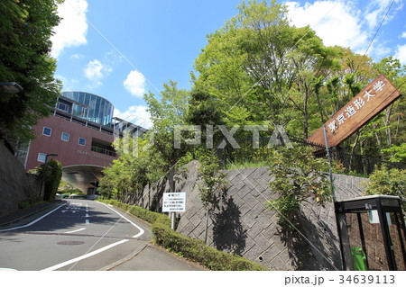 東京造形大学 八王子市の写真素材