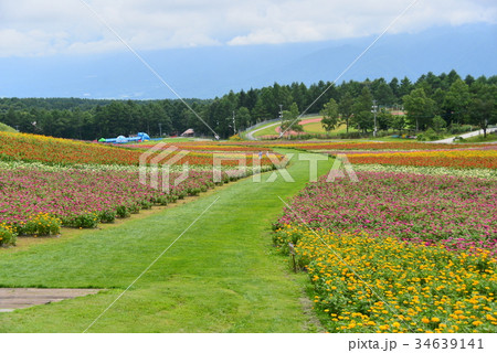 富士見高原リゾート花の里 34639141