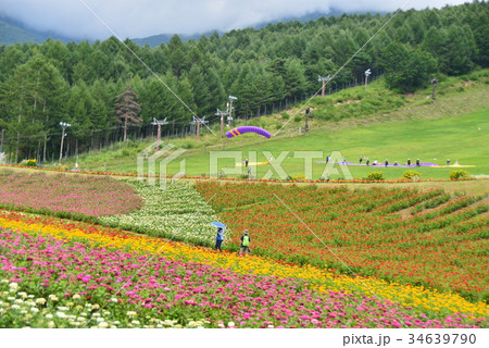 富士見高原リゾート花の里 富士見高原リゾート花の里 34639790