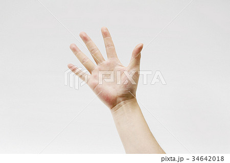 手のポーズ 開いた手のひら 掌 手の平 素材写真 Hand Poseの写真素材