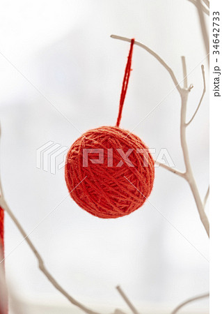 木 とっつき ぶら下がる 34642733