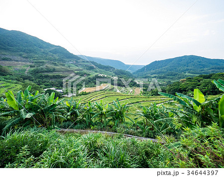 ベトナム ベトナム社会主義共和国 ベトナム人 34644397