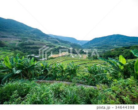 ベトナム ベトナム社会主義共和国 ベトナム人 34644398