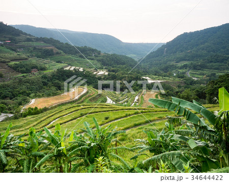 ベトナム ベトナム社会主義共和国 ベトナム人 34644422