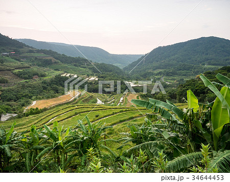 ベトナム ベトナム社会主義共和国 ベトナム人 34644453