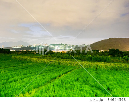 ベトナム ベトナム社会主義共和国 ベトナム人 34644548