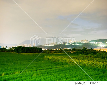 ベトナム ベトナム社会主義共和国 ベトナム人 34644550