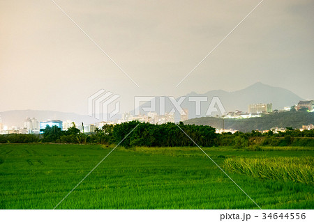 ベトナム ベトナム社会主義共和国 ベトナム人 34644556