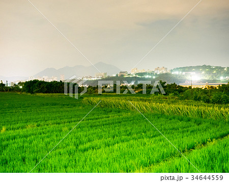 ベトナム ベトナム社会主義共和国 ベトナム人 34644559