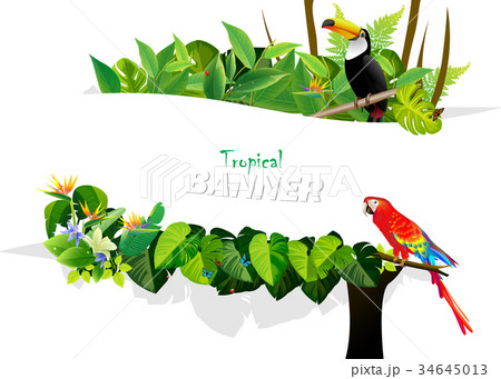 Tropical Leaves And Animal Backgrounds Vectorsのイラスト素材