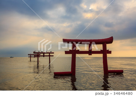 海中鳥居の夜明け 佐賀県 太良町 海中鳥居の夜明け 佐賀県 太良町 34646480