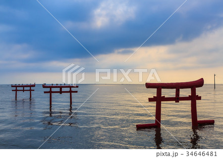海中鳥居の夜明け 佐賀県 太良町 海中鳥居の夜明け 佐賀県 太良町 34646481