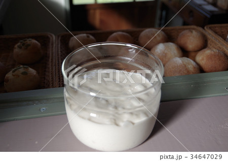 自家製酵母のパンの元種 自家製酵母のパンの元種 34647029