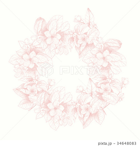 Vintage vector card with detailed frame of garden 34648083