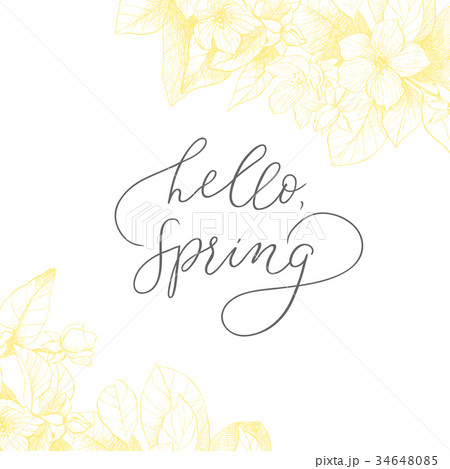 Hand drawing vector motivated phrase Hello, spring 34648085