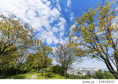 秋　市街を一望する丘の公園 34649037