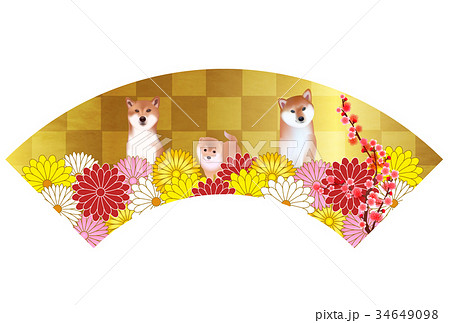 戌　年賀状　扇　アイコン  34649098