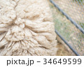 羊の毛 34649599
