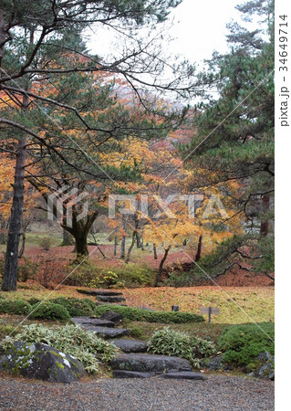 秋の風景(黄色い紅葉) 秋の風景(黄色い紅葉) 34649714