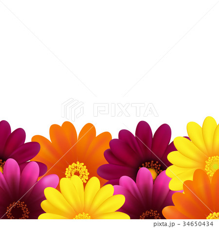 Gerbers Border Gerbers Border 34650434