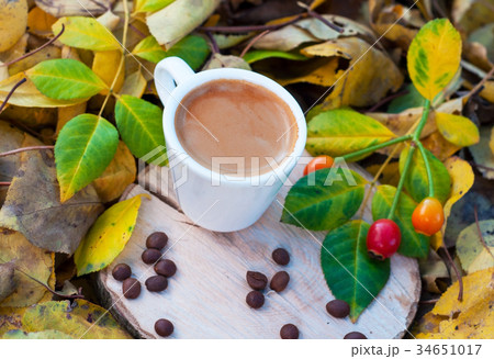 cup with espresso on hemp among fallen leaves 34651017