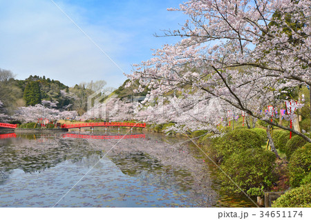 茂原公園 茂原公園 34651174